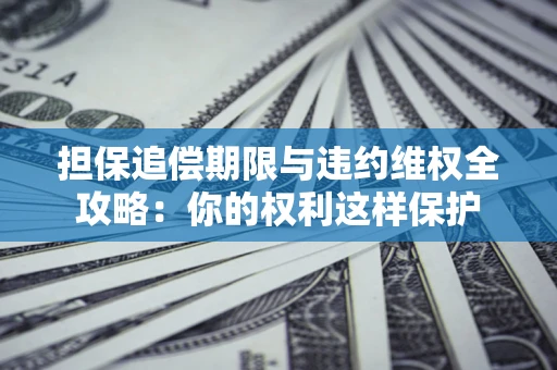 济南担保追偿期限与违约维权全攻略：你的权利这样保护